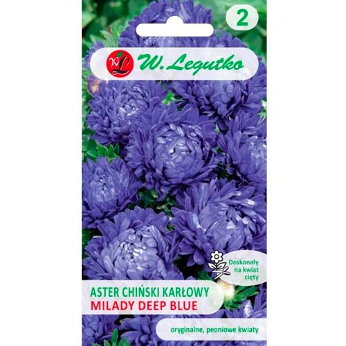 Астра китайска джудже Milady Deep Blue Legutko артикул фото 1 Астра китайска джудже Milady Deep Blue Legutko изображение 1 артикул 69557