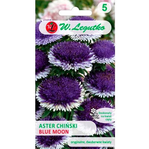 Астра китайска Liliput Blue Moon Legutko изображение 1 артикул 69561