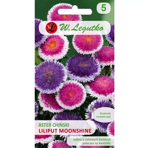 Астра китайска Liliput Moonshine Legutko артикул фото 1 Астра китайска Liliput Moonshine Legutko изображение 1 артикул 69563