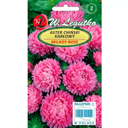 Астра китайска Milady Rose Legutko артикул фото 1 Астра китайска Milady Rose Legutko изображение 1 артикул 69558