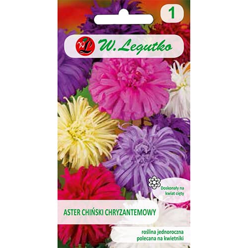 Астра китайска тип хризантема, Mix изображение 1 артикул 78511