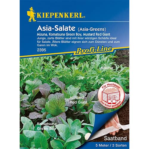 Азиатска салата изображение 1 артикул 87291