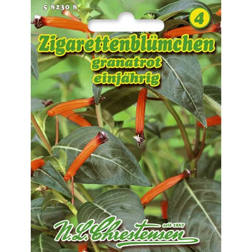 Огнено-червена куфея изображение 1 артикул 96412