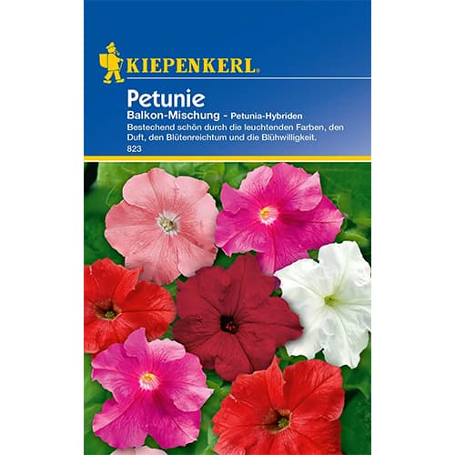 Балконска петуния, смес Kiepenkerl изображение 1 артикул 86298