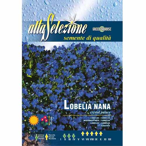 Бодлива лобелия Crystal Palace изображение 1 артикул 96349