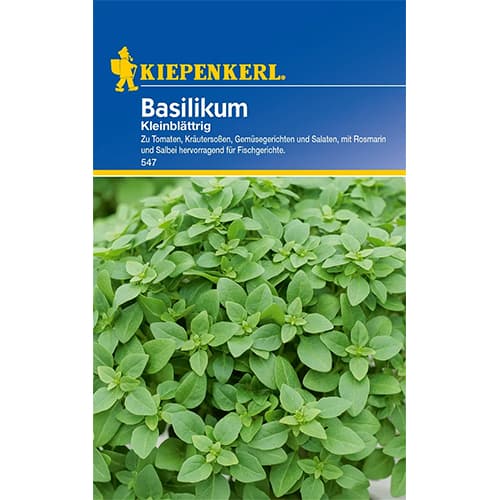 Босилек дребнолистен изображение 1 артикул 77456