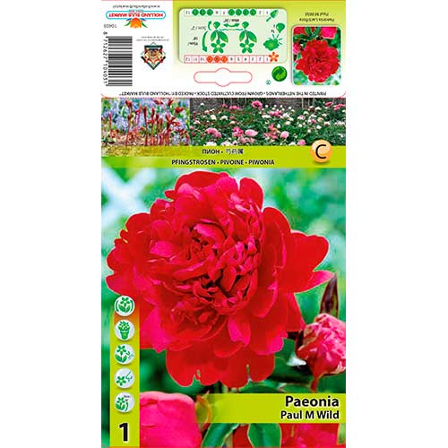 Божур Paul m Wild артикул фото 1 Божур Paul m Wild изображение 1 артикул 76338