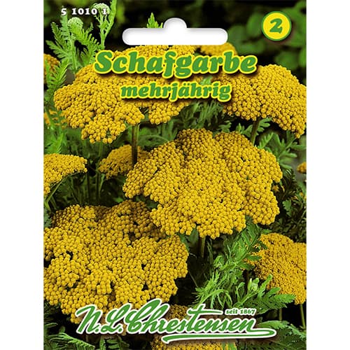 Бял равнец (Achillea) изображение 1 артикул 86114