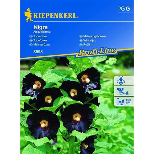 Градинска ружа Nigra изображение 1 артикул 86234