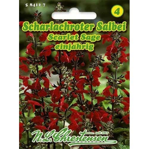 Червена салвия Scarlet Sage изображение 1 артикул 96446