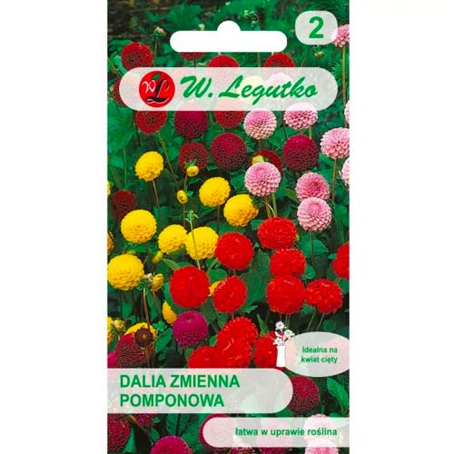 Далия тип помпон, смес Legutko изображение 1 артикул 50091