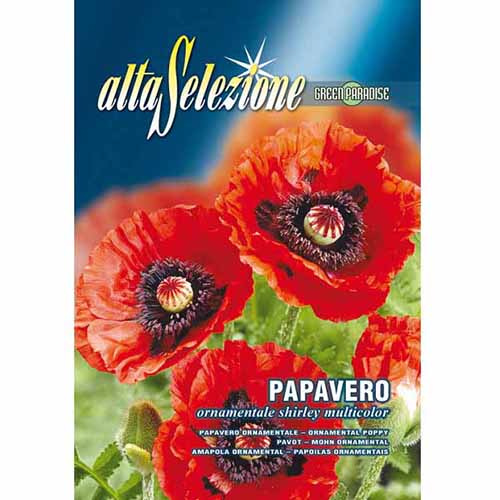 Декоративен червен мак изображение 1 артикул 96352