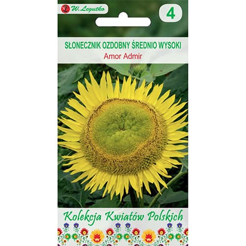 Декоративен слънчоглед Amor Admir артикул фото 1 Декоративен слънчоглед Amor Admir изображение 1 артикул 86732