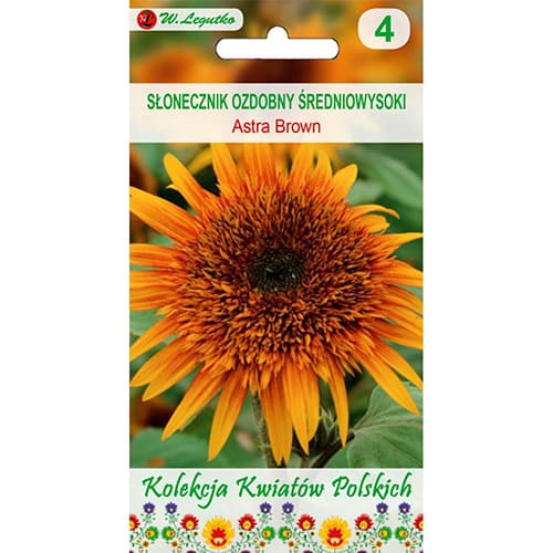 Декоративен слънчоглед Astra Brown изображение 1 артикул 96746