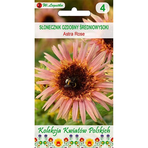 Декоративен слънчоглед Astra Rose изображение 1 артикул 96748