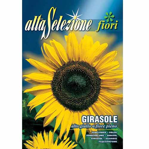 Декоративен слънчоглед пълен, смес изображение 1 артикул 96338