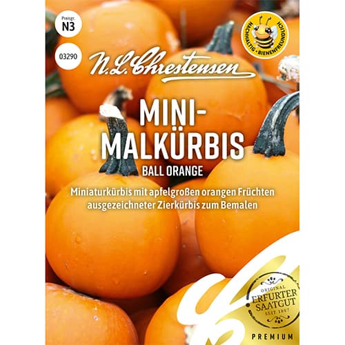 Декоративна тиква Ball Orange изображение 1 артикул 86172