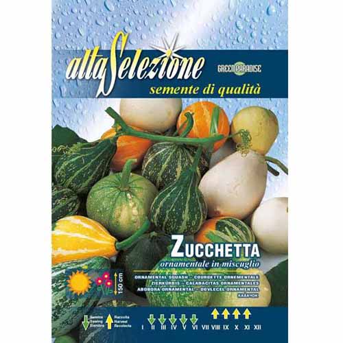Декоративна тиква, смес от цветове изображение 1 артикул 96334