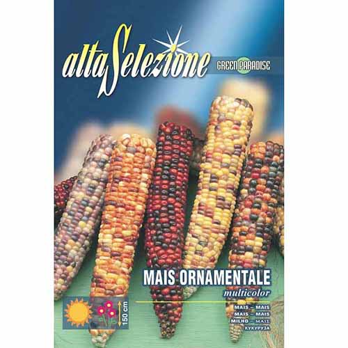 Декоративна царевица, смес от цветове изображение 1 артикул 96367