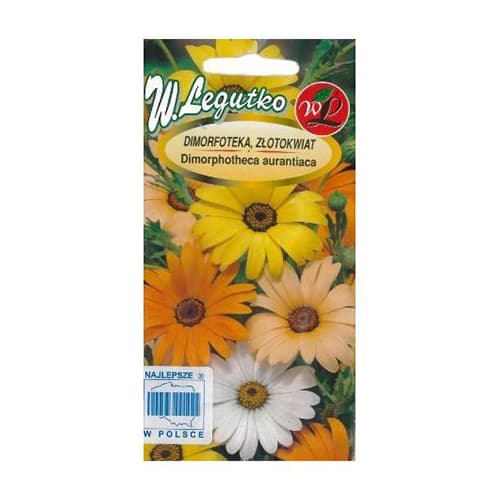 Диморфотека, Златно цвете смес изображение 1 артикул 69581