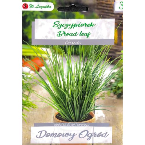Див лук Broad Leaf артикул фото 1 Див лук Broad Leaf изображение 1 артикул 69656