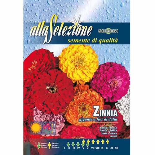 Елегантна циния, смес от цветове изображение 1 артикул 96326