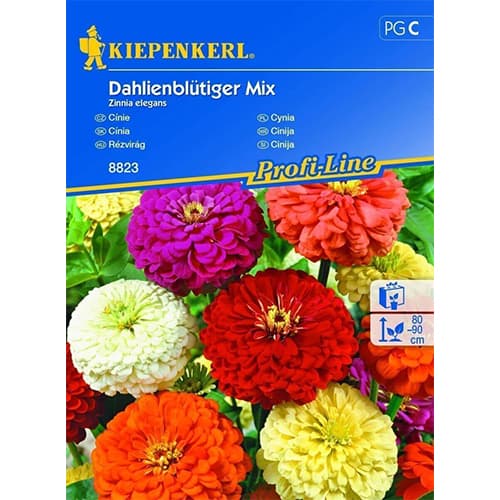 Циния Dahlienblütiger, Mix артикул фото 1 Циния Dahlienblütiger, Mix изображение 1 артикул 86353