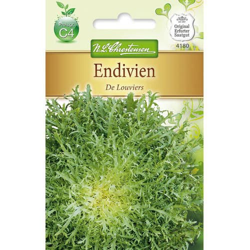 Ендивия De Louviers изображение 1 артикул 78765