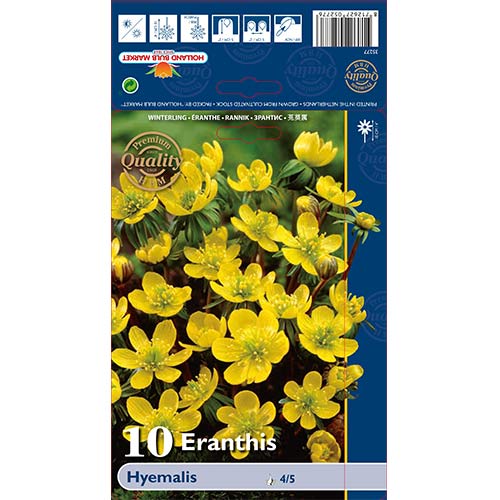 Ерантис Hyemalis изображение 1 артикул 68052