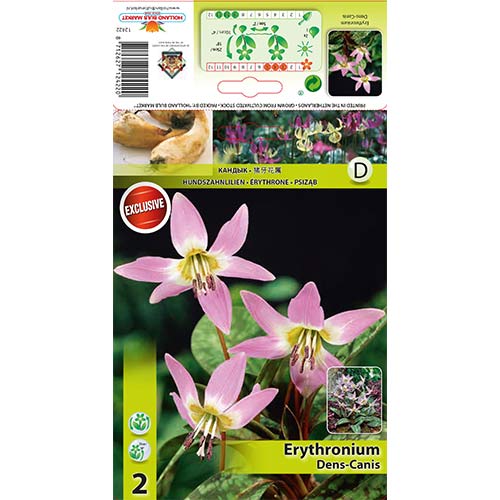 Еритрониум Dens Canis артикул фото 1 Еритрониум Dens Canis изображение 1 артикул 67891