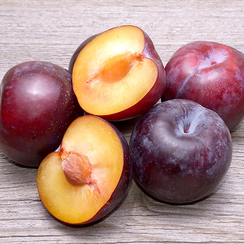 Слива Angeleno изображение 1 артикул 4308