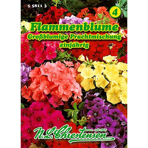 Флокс Друмонди многоцветен, смес изображение 1 артикул 86180