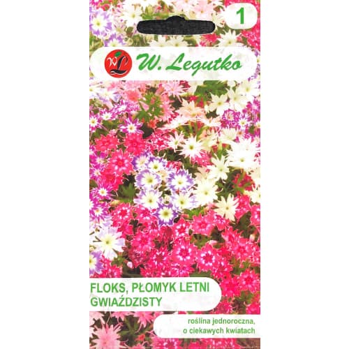 Флокс звездообразен, смес изображение 1 артикул 69588