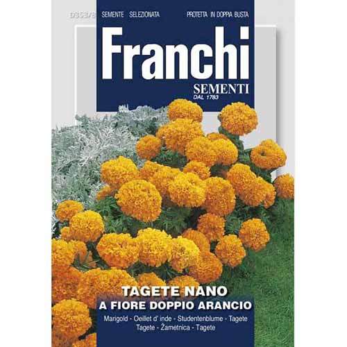 Френски невен оранжево пълно изображение 1 артикул 87310