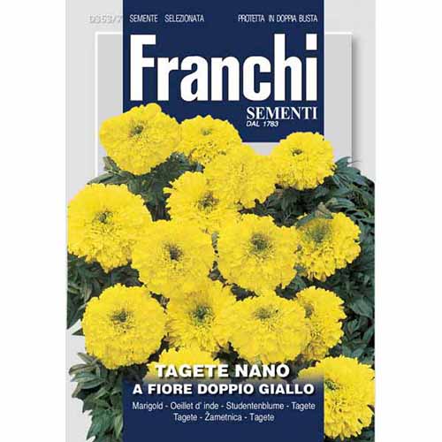 Френски невен разпръснато жълто артикул фото 1 Френски невен разпръснато жълто изображение 1 артикул 87309