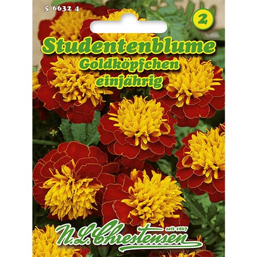 Тагетес нисък Goldköpfchen       изображение 1 артикул 86207