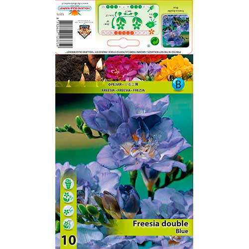 Фрезия Double Blue изображение 1 артикул 76234