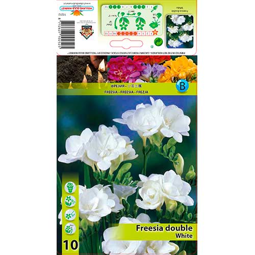 Фрезия Double White изображение 1 артикул 76239