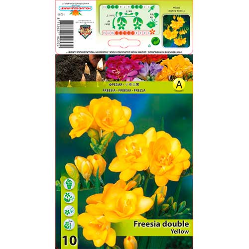 Фрезия Double Yellow артикул фото 1 Фрезия Double Yellow изображение 1 артикул 76240