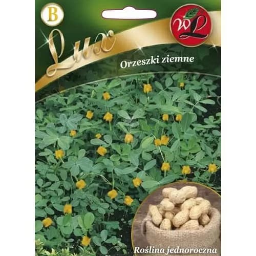 Фъстъци Legutko изображение 1 артикул 78667