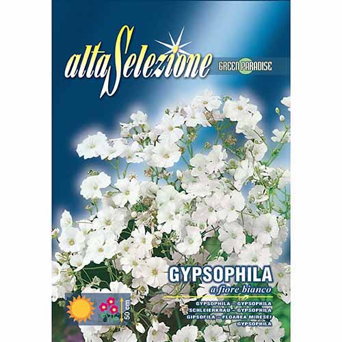 Гипсофила (Мишорка) бяла изображение 1 артикул 96336