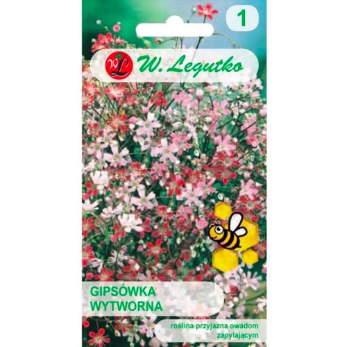 Гипсофила, Mix Legutko изображение 1 артикул 78557