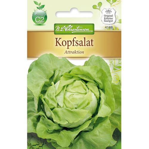 Главеста салата Attraktion изображение 1 артикул 78768
