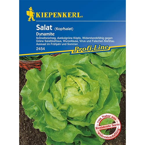 Маруля Dynamite изображение 1 артикул 86461