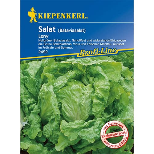 Главеста салата Leny изображение 1 артикул 96595