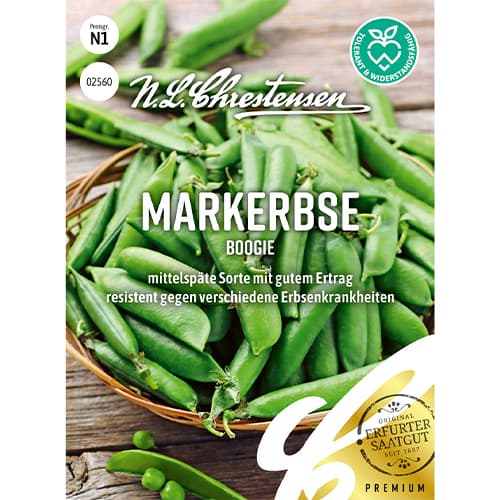 Грах Boogie артикул фото 1 Грах Boogie изображение 1 артикул 86058