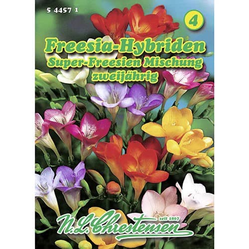 Хибридна фрезия, смес артикул фото 1 Хибридна фрезия, смес изображение 1 артикул 96421