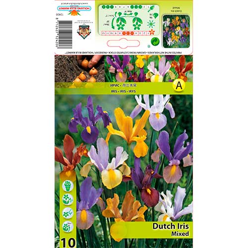 Холандски ирис Mixed изображение 1 артикул 76229