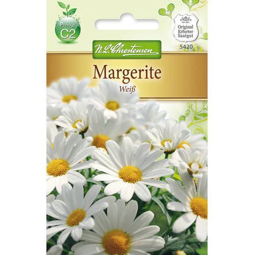 Маргритка White изображение 1 артикул 78972