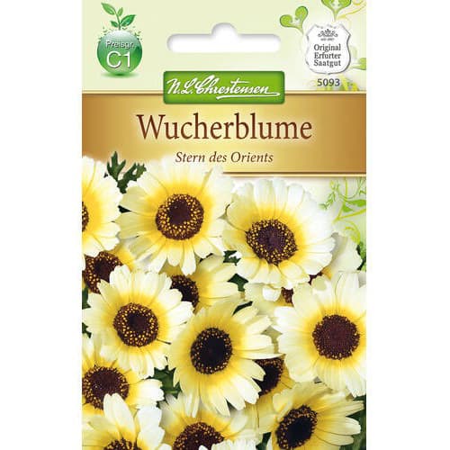 Маргритка Stern des Orients изображение 1 артикул 78900